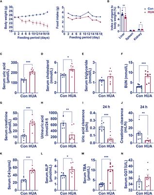 Pseudohypoadrenalism, a subclinical cortisol metabolism disorder in hyperuricemia